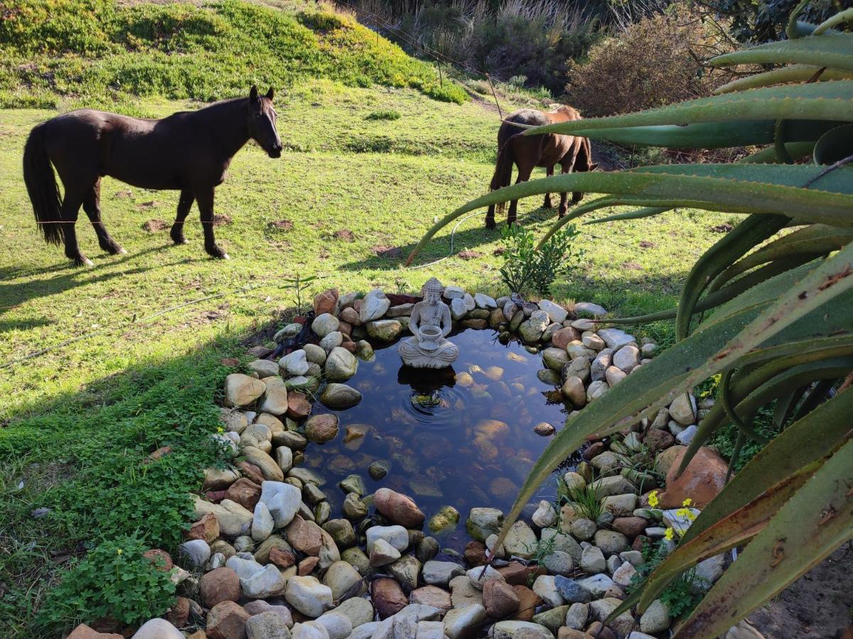 The Riverstone - Romantic Hideaway By The River - Loadshedding Free! Napier Экстерьер фото