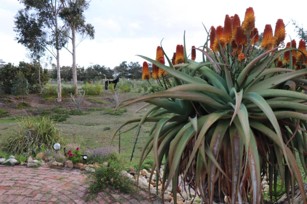 The Riverstone - Romantic Hideaway By The River - Loadshedding Free! Napier Экстерьер фото