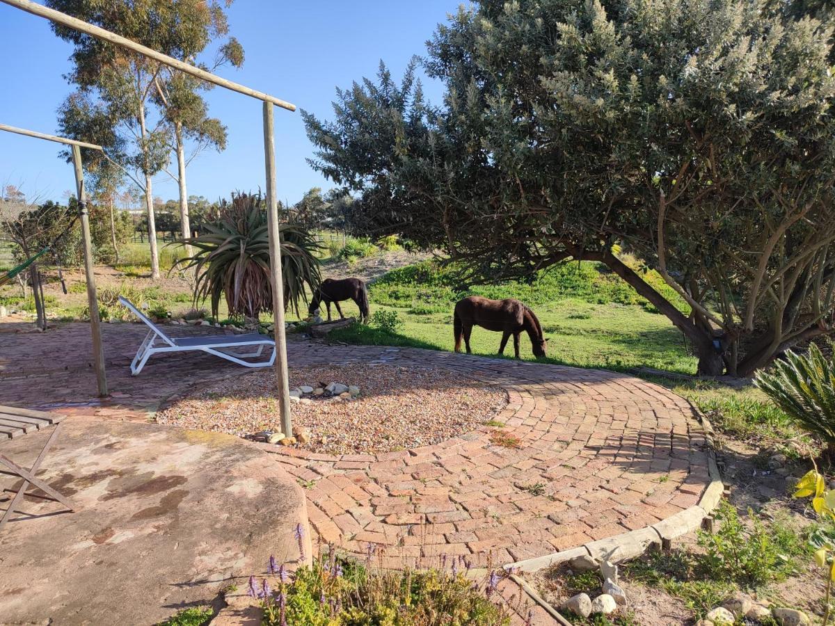 The Riverstone - Romantic Hideaway By The River - Loadshedding Free! Napier Экстерьер фото